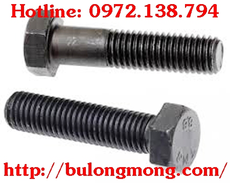Bulong M18x220