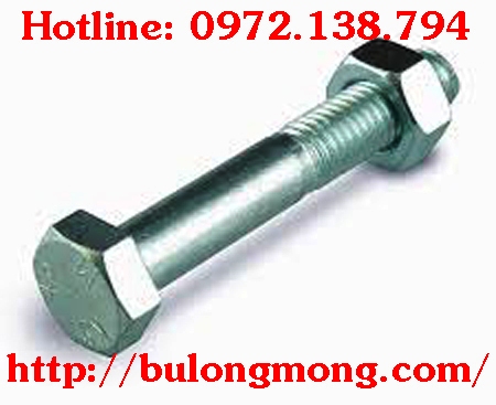 Bulong M20x250