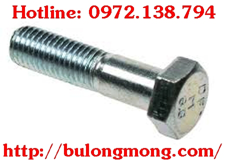 bulong M22x250