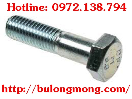 bulong M22x140