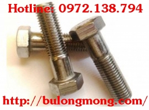 BULONG m24