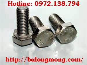 Bulong M6x60