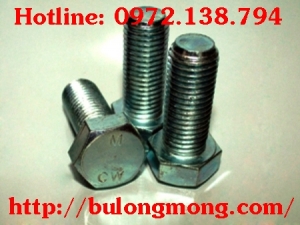 Bulong M8x60
