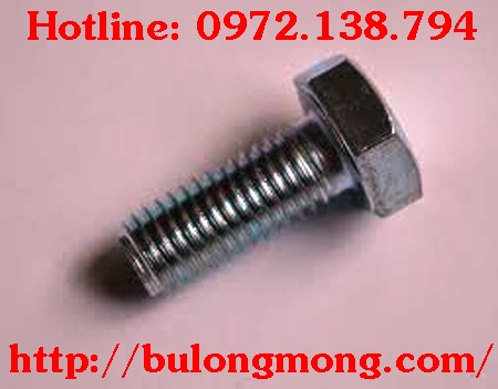 bulong M14x60
